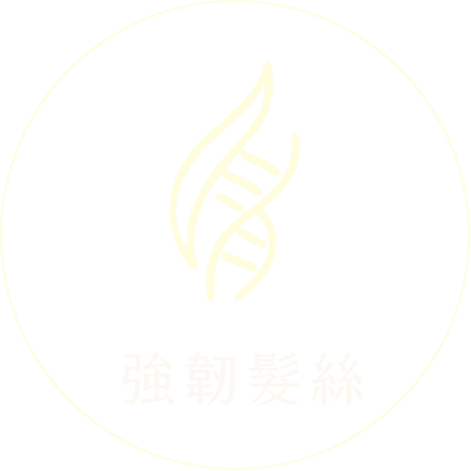 護理髮絲